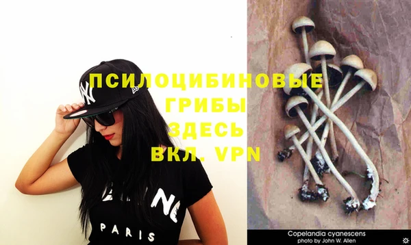 MDMA Premium VHQ Михайлов